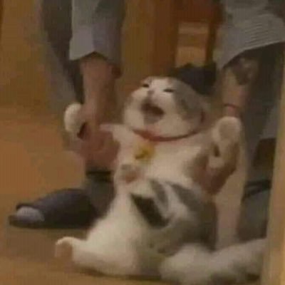 sndbvsjebxs