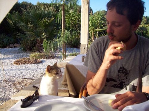 vhatzopoulos's profile picture. data scientist @ Capgemini. If this this else that