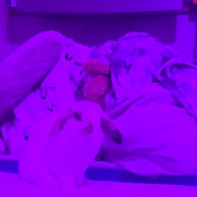 shannonkerrr's profile picture. 