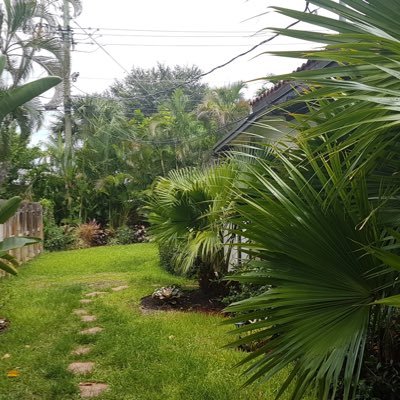 SSC20211's profile picture. I like to build things that equate to complicated legos lol.