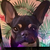 mickey wilk (@wilkmickey) 's Twitter Profile