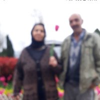 Gül Gocer (@glgocer2) 's Twitter Profile