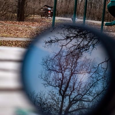 SamuelS20539914's profile picture. 