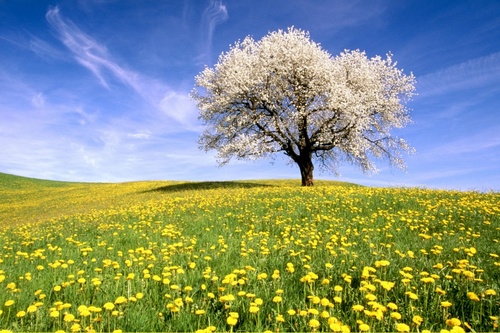 hellothere001's profile picture. 