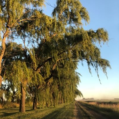 fmz92's profile picture. 