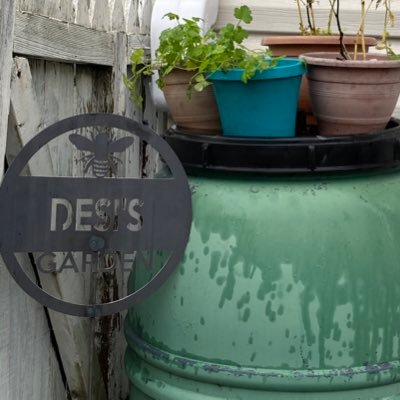 Welcome to Desi's Garden! A place to put on your gardening shoes! Container Gardening NYC