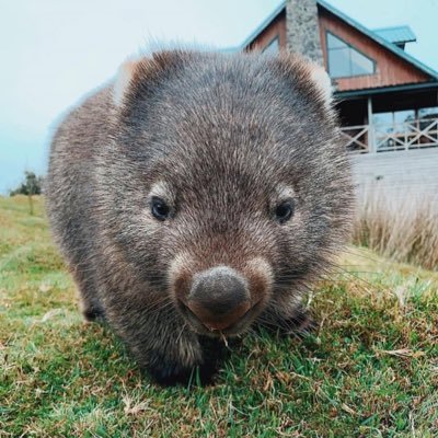 shinyoul78's profile picture. 