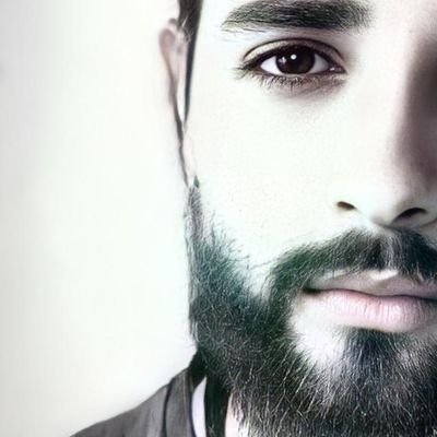 Diego Hoffmann Profile