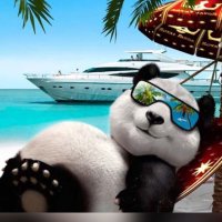 PandaOle (@pandaolebole) 's Twitter Profile