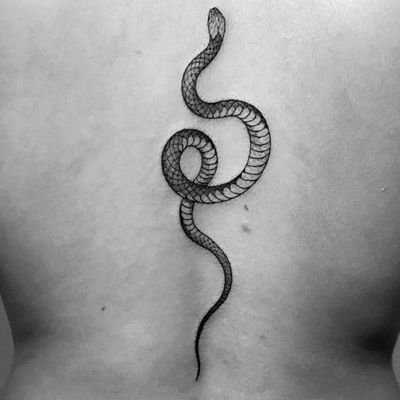 negibimeselawtf's profile picture. 