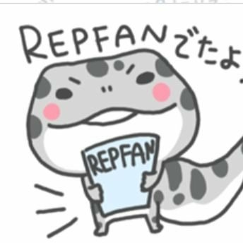 REPFAN・レプスタ公式