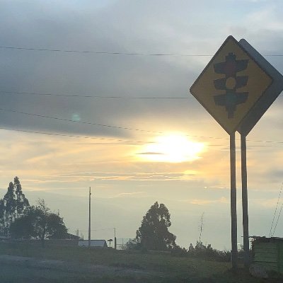 MFF20201's profile picture. Vaso medio lleno