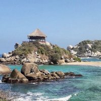 Pedro Antonio Manrique (@pedroan56176688) 's Twitter Profile