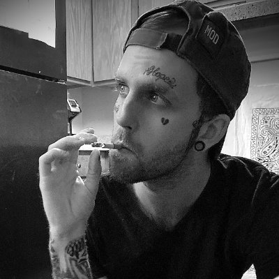 royalpanicatl's profile picture. Guitarist
Producer