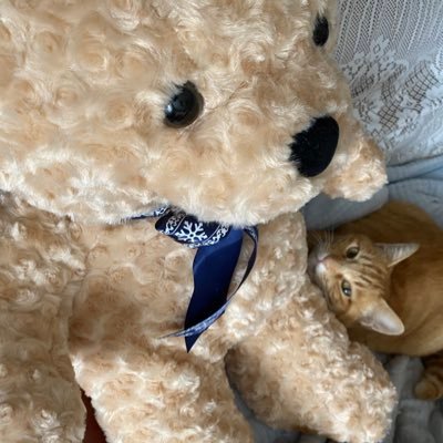 レターさんのプロフィール画像