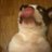 wakadanner38's profile image