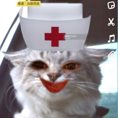myasan🐈自由と平和を愛する人🕹やる気Switch押し合える仲間募集&仲間応援中🌸さんのプロフィール画像