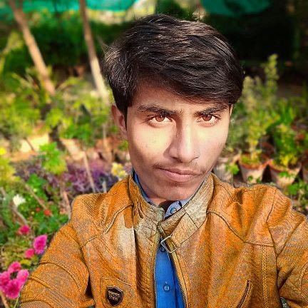 Shakirh34253356's profile picture. 