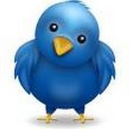 Aktuelle Retweets