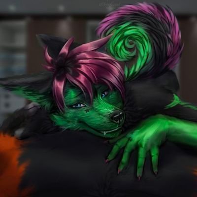 18+ | 24 | Furry Femboy | Curl | Collared | Pup 💚💚💚