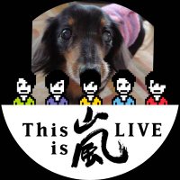 ゆき🐾🐾🐾🌈🐶✨ (@kosamearashi) 's Twitter Profile Photo ゆき🐾🐾🐾🌈🐶✨ (@kosamearashi) 's Twitter Profile Photo