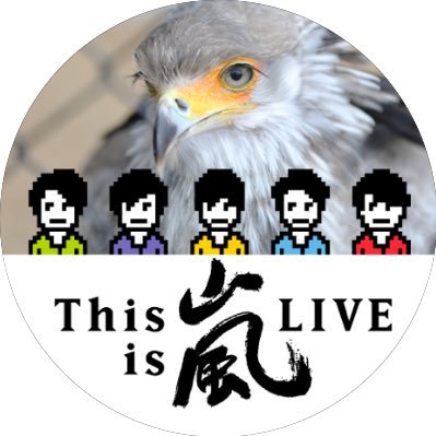 bird_6134's profile picture. 基本ROM。雑食系の社会人。舞台沼に頭まで浸かりつつ…無理のない様、程々に頑張ります。嵐さんにマジでっかい感謝。💙❤️💚💛💜え、私の推し、顔良すぎ！？令和ロマンの沼にハマってます。もっとヤレロマをください…