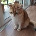 ðð°âŧââĢ_âļââĢððļ(āđāļāļīāļāļāđāļēāļ) (@monneybyfatcat) Twitter profile photo ðð°âŧââĢ_âļââĢððļ(āđāļāļīāļāļāđāļēāļ) (@monneybyfatcat) Twitter profile photo