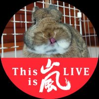 もふもふ (@toudouayumi) 's Twitter Profile Photo もふもふ (@toudouayumi) 's Twitter Profile Photo