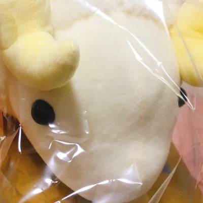 とうらぶの審神者。推しは最推し伯仲、加州と則宗、三日月と鶴丸、その他土佐、江、一文字、初期刀組、伊達、源氏、兼定、広光兄弟、後家くんも好き。2.5はミュステ共に。お取引もしてます。紙類はコンプしたい人。平日は朝から夜まで仕事中なため反応遅。手渡しは都内でご相談。とっくの昔に成人済み。