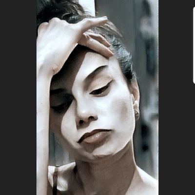 sharmadillo1213's profile picture. Animal Rights. Human Rights. Conservationist. Lobbyist. Workaholic. Scuba Diver. Freediver. Surfer. Pilot. Sorry, mom. 🦈