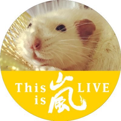 막스さんのプロフィール画像