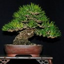 Howard Smith - @DocHowardSmith - Twitter