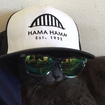 Coolest Cat on the Blockchain. Avid catnap and Gem hunter. Entrepreneur & Weirdo.