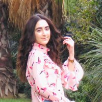 solmaz (@solmazhoseinloo) 's Twitter Profile