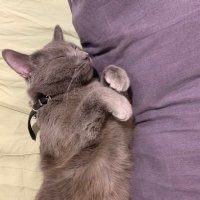 Nguyen Duy (@nguyend40130639) 's Twitter Profile