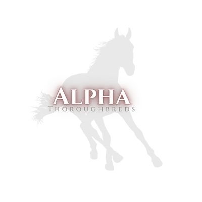 Alpha Thoroughbreds