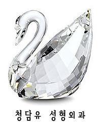 천안 두정동에 위치한 청담유성형외과입니다. 성형에 대한 궁금증은 망설이지 마시고 물어보세요. Tel. 041)522-4458  쌍꺼풀/코/가슴/귀족/턱보형물/보톡스/필러 전문