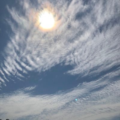 sayosayobuuko's profile picture. 佐世保に住むブー子。ノーザンテースト大好き❤そろそろ血統表から消えて行くのが淋しいな。馬券は買ったら外れなので、推しの子は陰から応援。相撲は追手風部屋を応援