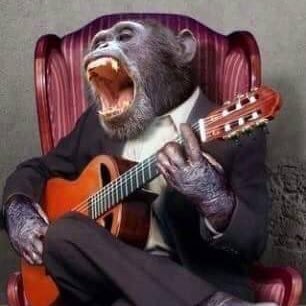 standerjo's profile picture. 