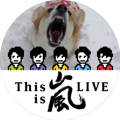 コーギー花さん Tom1hana2 Twitter コーギー花さん Tom1hana2 Twitter