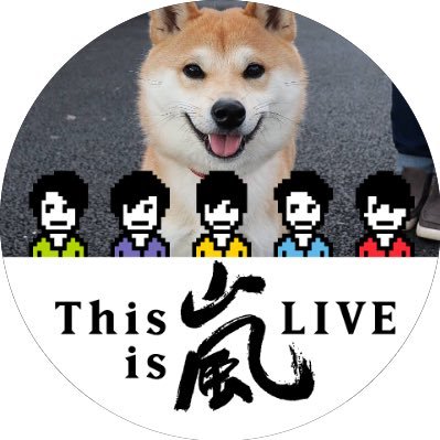 sachi_che_11's profile picture. 