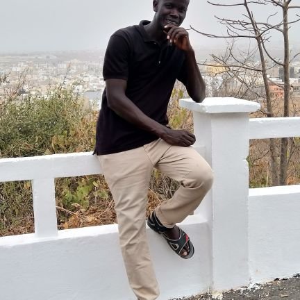 MbayeMndoye's profile picture. Local Development, Agricultural And Ecological Activists.