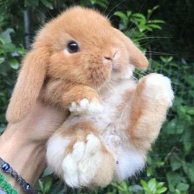 modolu3's profile picture. moderu