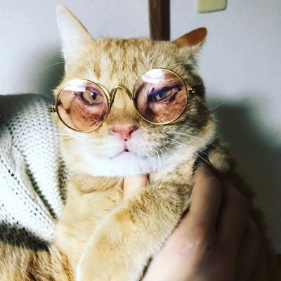 夢を見れるから 子供でいれるんじゃなくて、 夢を見れなくなった大人達が 支配するこの世の中に 俺たちのわがまま突き通すだけ。 何も間違っちゃないよ。 さなぴ軍団、河童Mafia、発達狂 https://t.co/IC2mvZSjhP所属