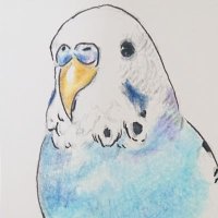 なぁ (@surprchuppu) 's Twitter Profile Photo なぁ (@surprchuppu) 's Twitter Profile Photo