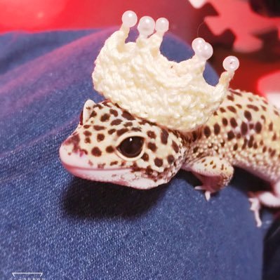 ごんざれす𖤣𖥧𖥣｡さんのプロフィール画像
