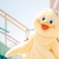 🅿️ぴ (@trhk_ajacta) 's Twitter Profile