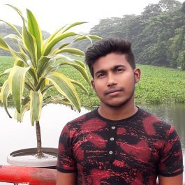 ashikur8765's profile picture. Professional Logo Designer