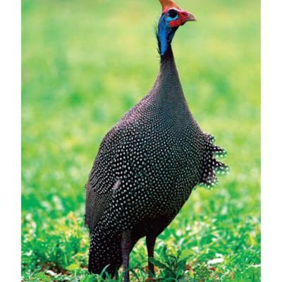 i_am_noko's profile picture. Air-conditioning technician