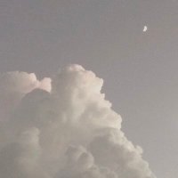 ᙏ̤̫͚♡ᙏ̤̫͚ (@0m0wtrngrmaec2l) 's Twitter Profile